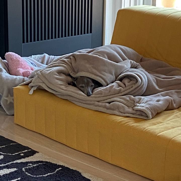 A064f04d 0bc7 4c8b a108 3bbe8c037c72 1772321380304