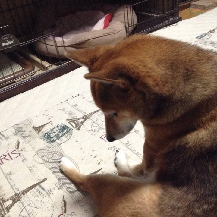 A064f190 5de8 4aba a142 c9e73903a436 1509958604422