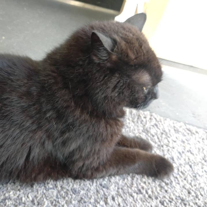 A064f196 1e11 46de 8114 aafc24b0b95b 1752806181583