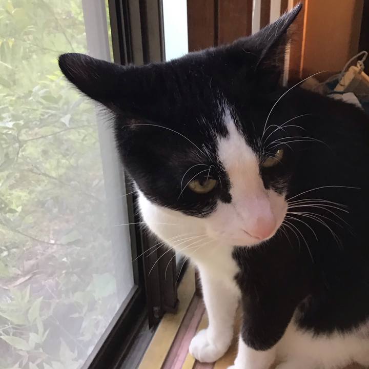 A065083a 5525 4283 8165 0fc67f717794 1681986798720