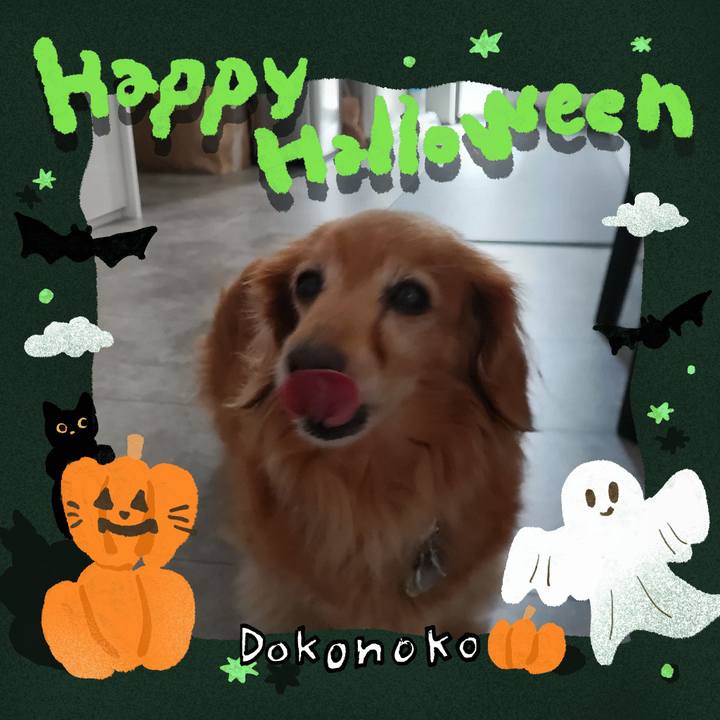 A06510ad fc20 44d5 ad5d 0d863355c40c 1729999760965