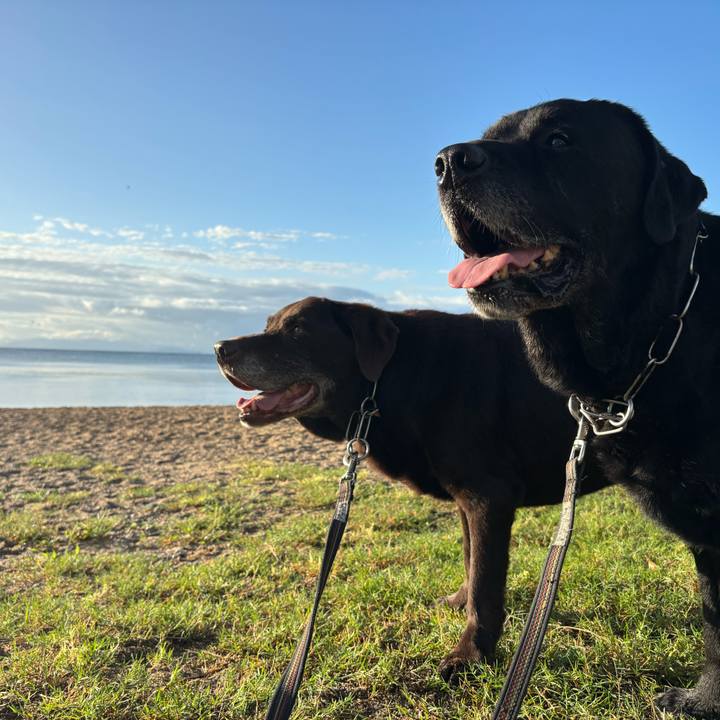 A0651446 f2c8 49bf 9be5 21ce8922447c 1758543492046