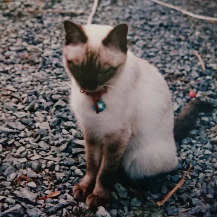 A0651b92 c6ab 4bcc 885e 9620300641b3 1599508987324