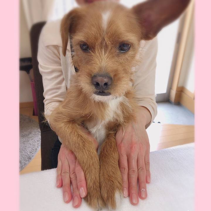 A0656c24 1139 4fd4 a547 59da2022e7d0 1560490343656