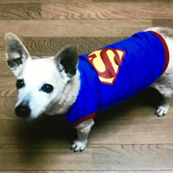 A0656fab d6db 4aee ba80 41c53f8e4449 1538306949811