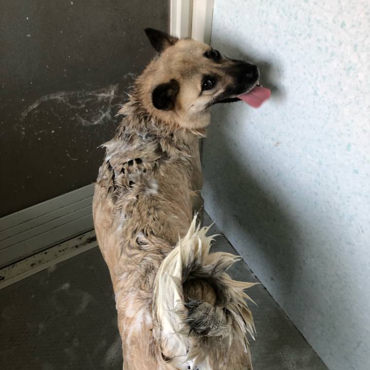 A065f4ce 82d7 4c67 b20f 8ae5f0080a59 1564823698172