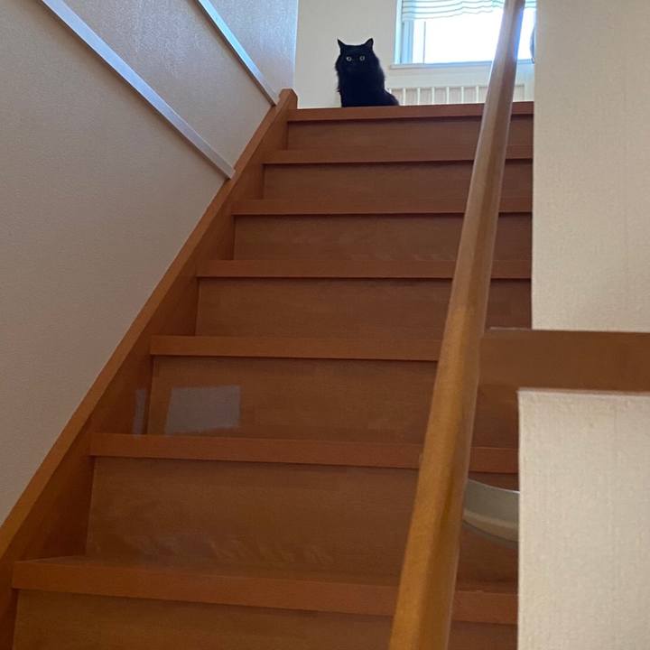 A06653a3 6855 493b 909e be77b31b44d3 1596116205861