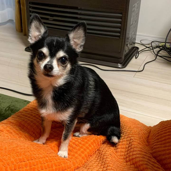 A0669c7e 304b 47fe 9249 68ba2511bf4d 1668860273047