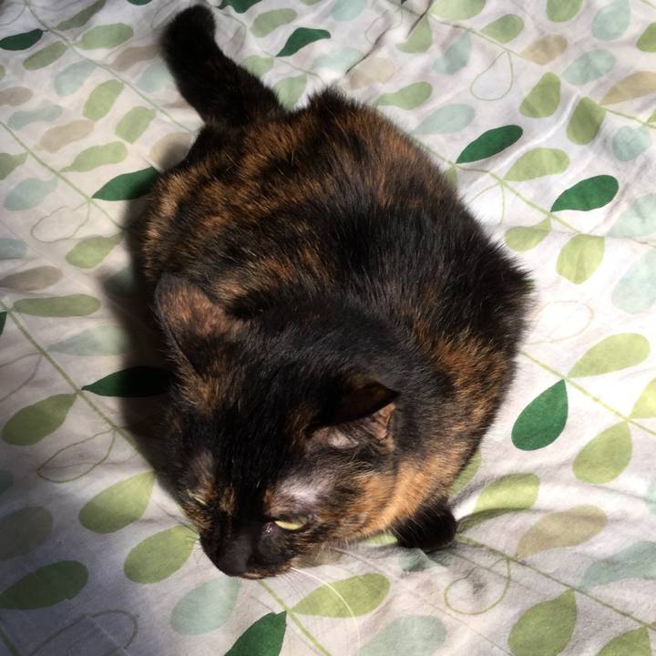 A066a879 64a2 4726 9075 2106f1902fcd 1584437671054