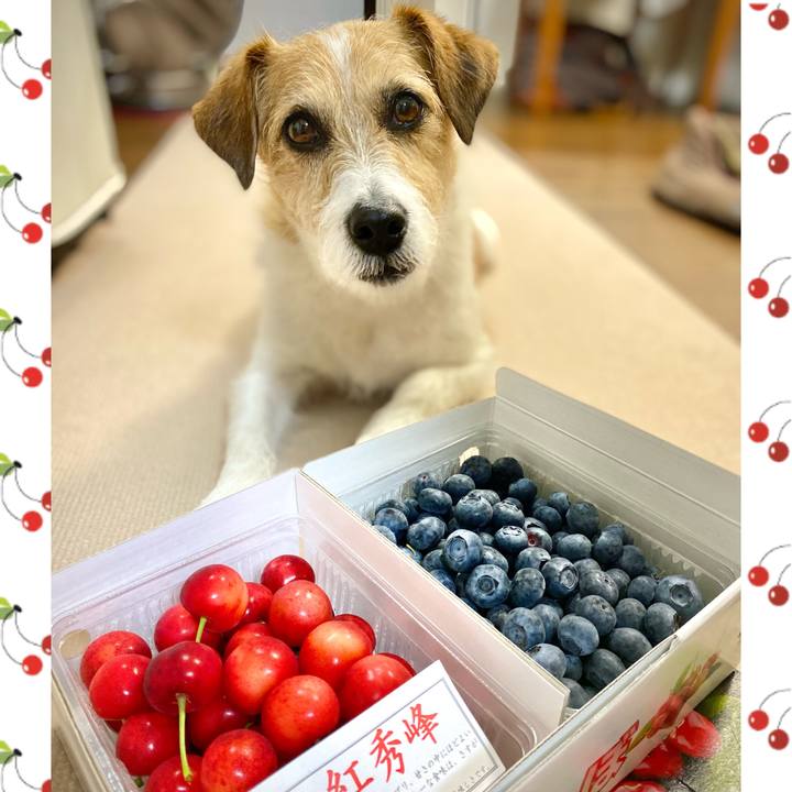 A066c0b6 0e11 42d3 a309 782414d246f8 1656243296353