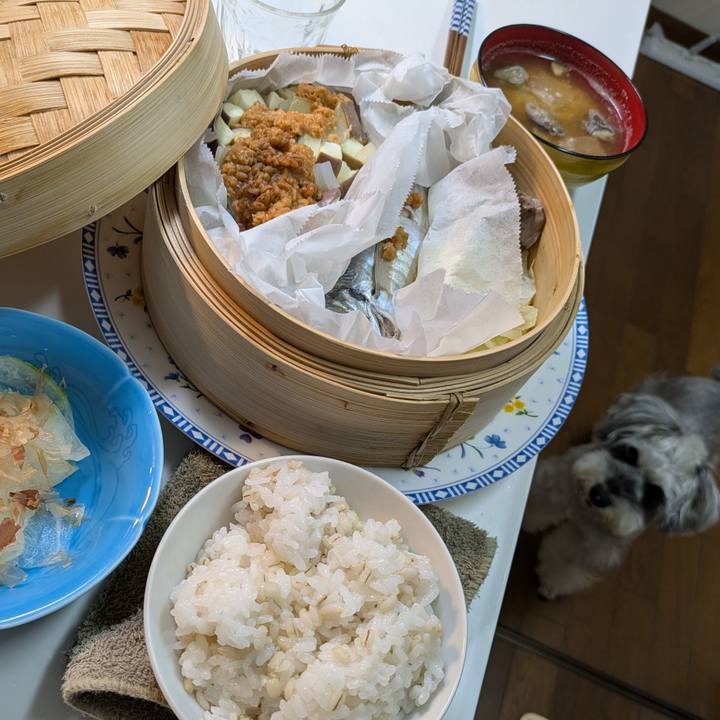 A066da7c 65c0 470f 9dd6 5c1b458ae747 1758387115400