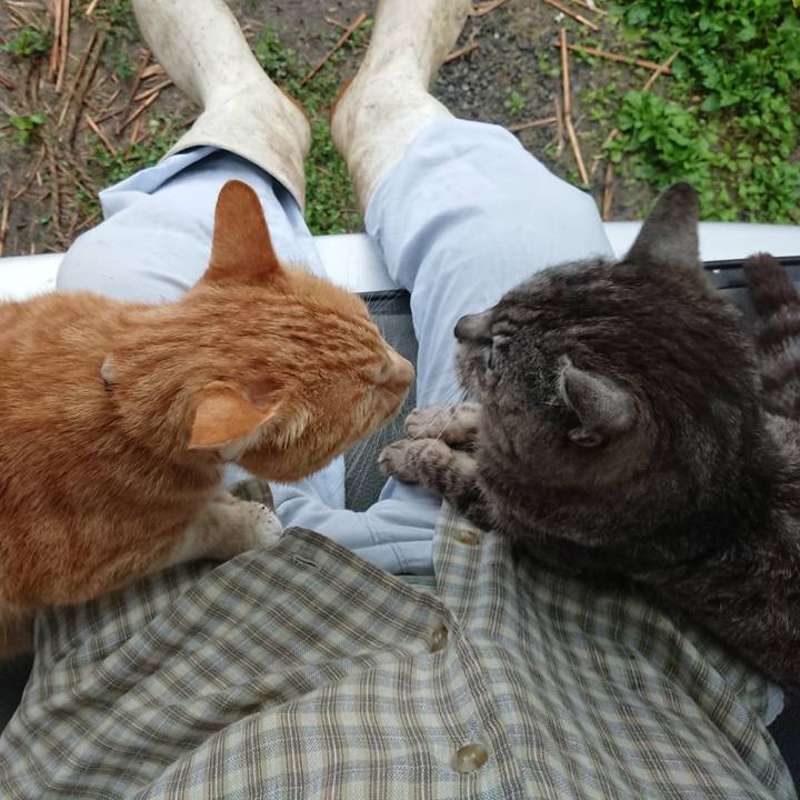 A066f735 6b77 4a58 94c7 957ec1fbce6c 1593981195351