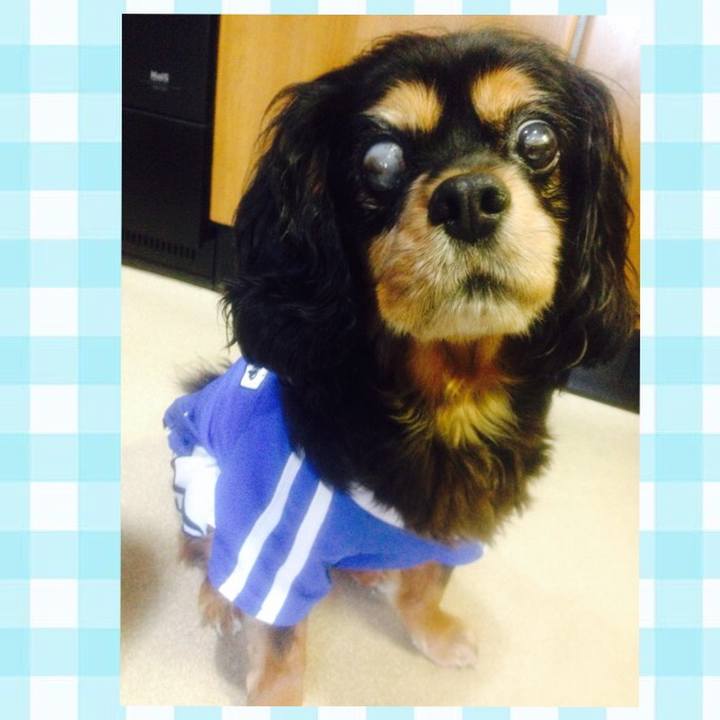 A0670016 c78a 4107 b464 9b6a46033c09 1530564413324