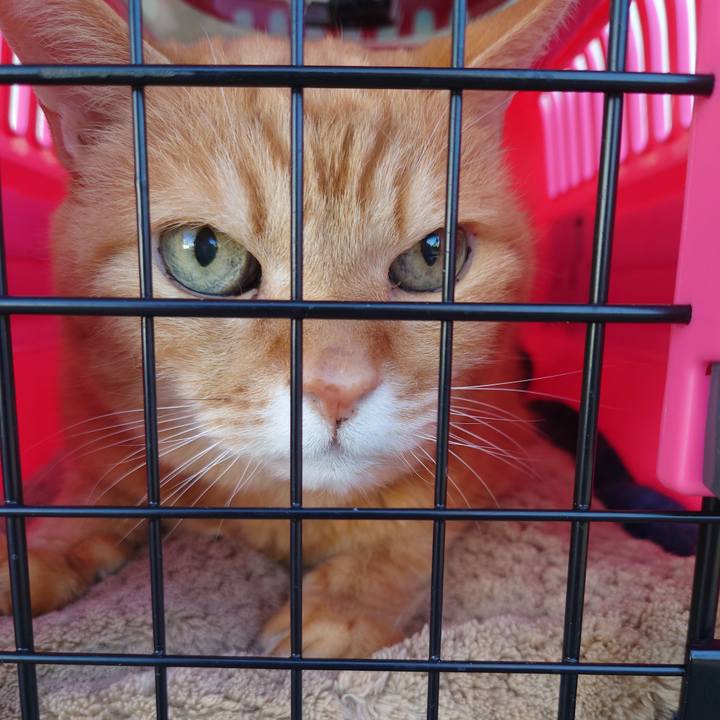 A06725db 6a5c 4643 9429 a56f0cf42801 1763164051484