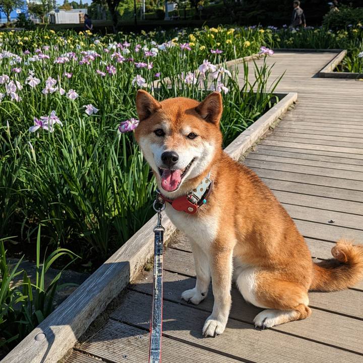 A0672756 e9ae 4be4 807e a248435ddd7d 1717287463302