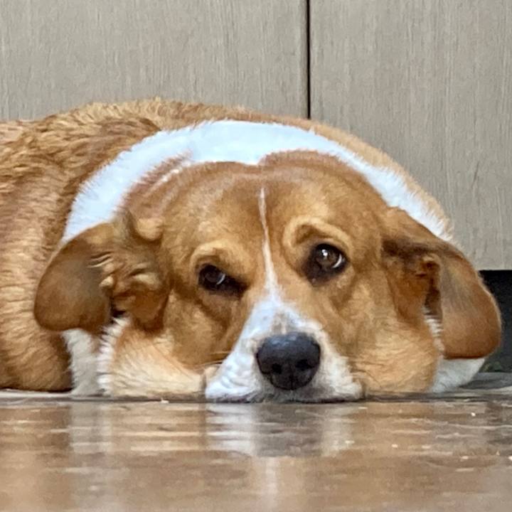 A0675f46 2fdb 4318 8787 05b32943fb1f 1695256393422