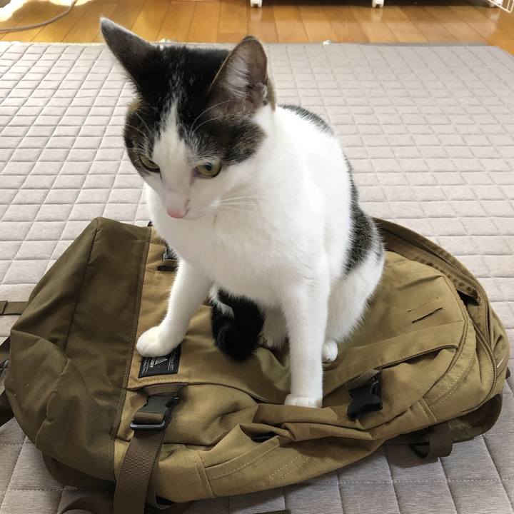 A067697c 2674 4e39 9385 0a3cd9a6ecca 1636070530082