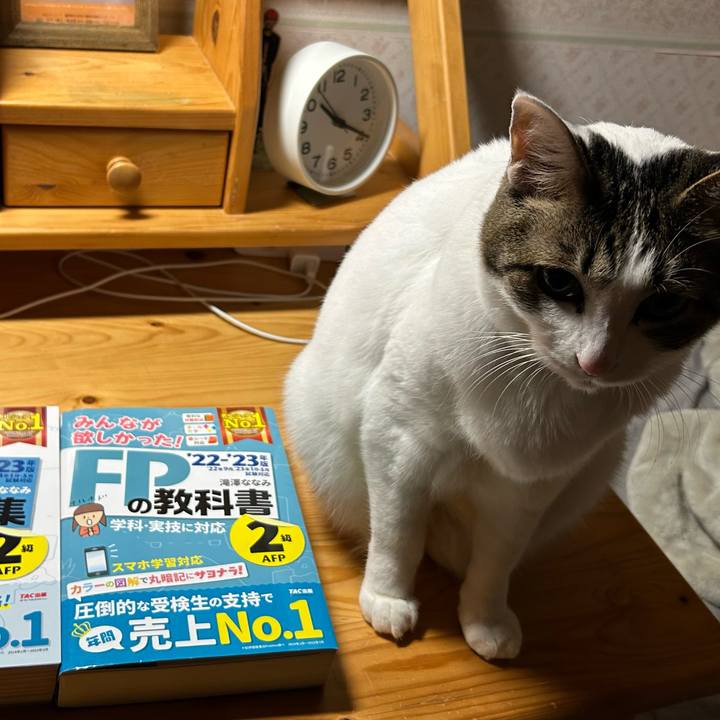 A0676f26 a914 4fa0 8b97 0b46fdb7af3a 1673788884900