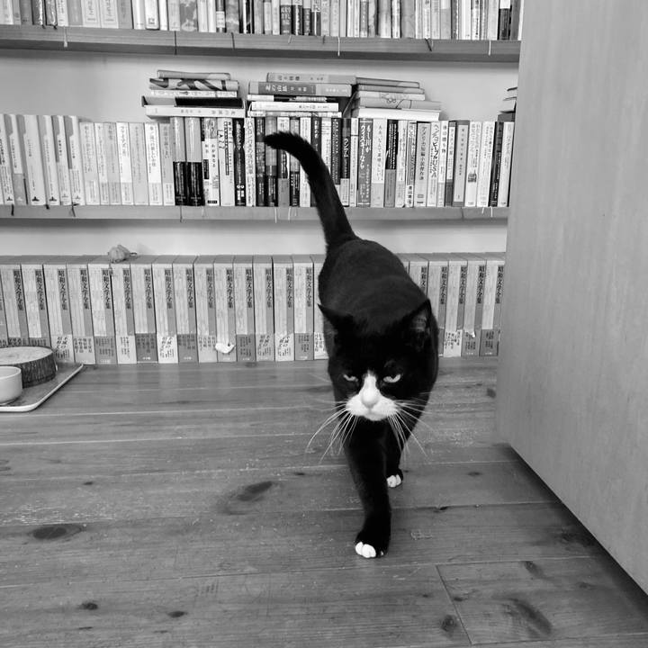 A0677a2d 4db8 40f5 b163 05a58ef1db0d 1616457291161