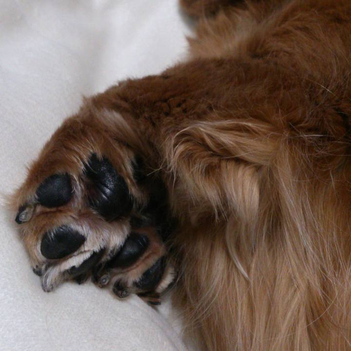 A06787c6 d5e7 4553 9ee6 0d6cbeccd44a 1612370554149