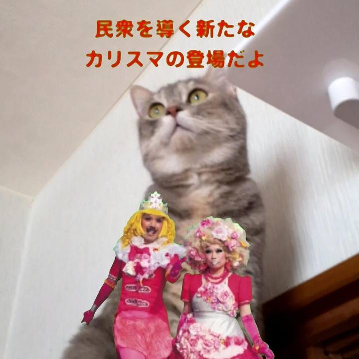 A067ad9e bedd 4d77 8d20 37a3b4d738e2 1563065966771