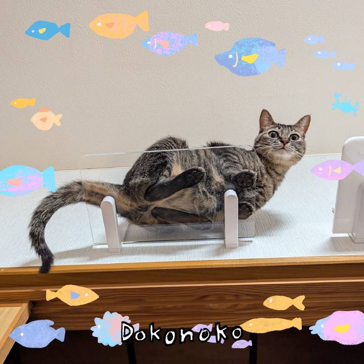 A067fb21 cdbf 4cb4 954e ade460d8fd0f 1755167653371