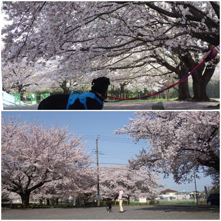 A0682cf6 dfdb 44c1 98dd 8013db83788f 1617150885017