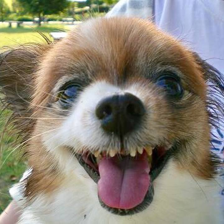 A06843f6 1131 4608 90ed 9684db2051f2 1559892466384