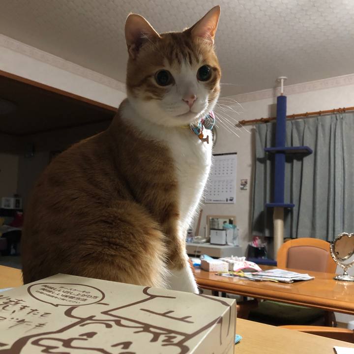 A068820d dd23 4063 97be 007edb54f3ef 1563115865607