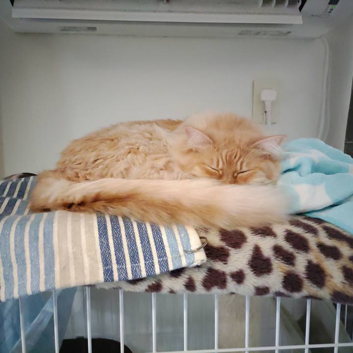 A0688f33 e818 40db b6a9 10b2c5aefafb 1674797202417