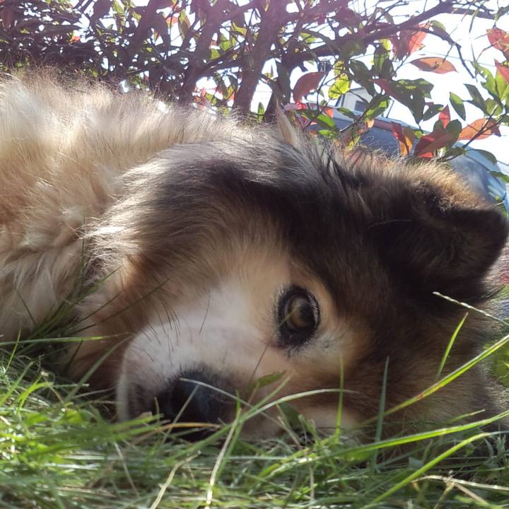 A068c1d7 2295 4beb b686 8464716737fd 1557448780805