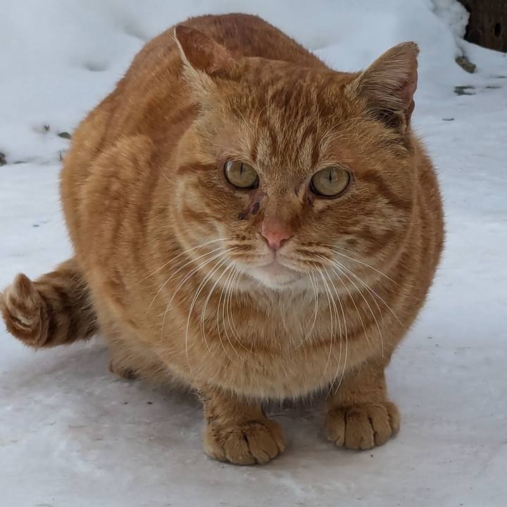 A068cc68 19b0 4d48 897b 17b82ac1d570 1739330497344