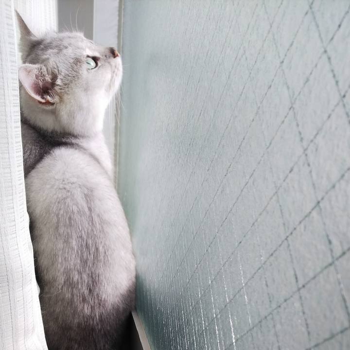 A0693313 2505 4dfc ae3e fe817457d2b0 1513387298913