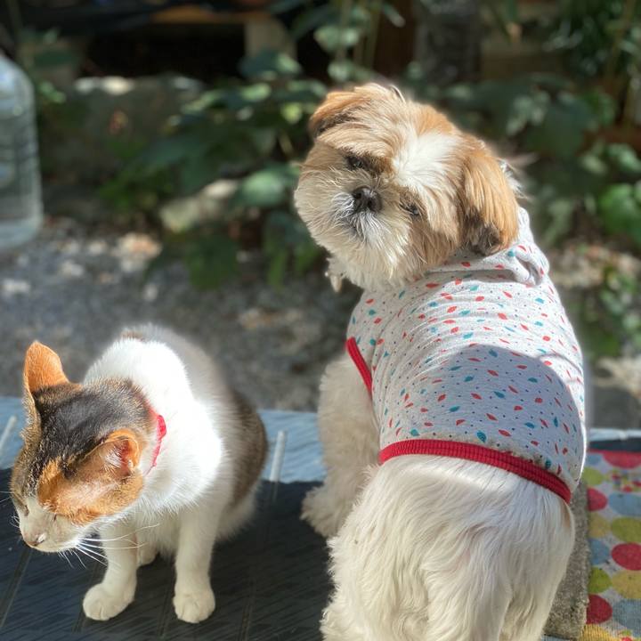 A0695d42 9ef8 4510 a2d7 ab57f353e14c 1635048898955