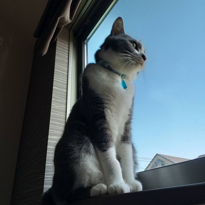 A0696f12 24d8 42ac b033 069639c70aee 1651277465100