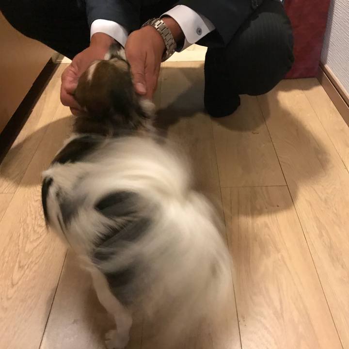 A06985a1 badc 476b 87e8 affa55b415ac 1511013132371