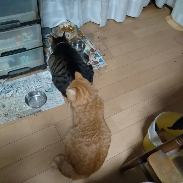 A069d21f 73b2 4f95 83ac 699e494475c7 1699358020088