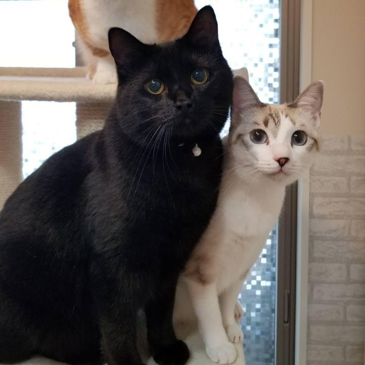 A069e1af 8aac 48c8 9db2 90436f8ce7f9 1507866742426