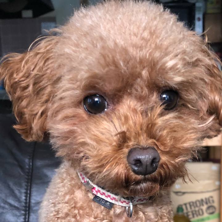 A06a0946 678e 4a77 9485 07f3fee9fa8b 1546139179688