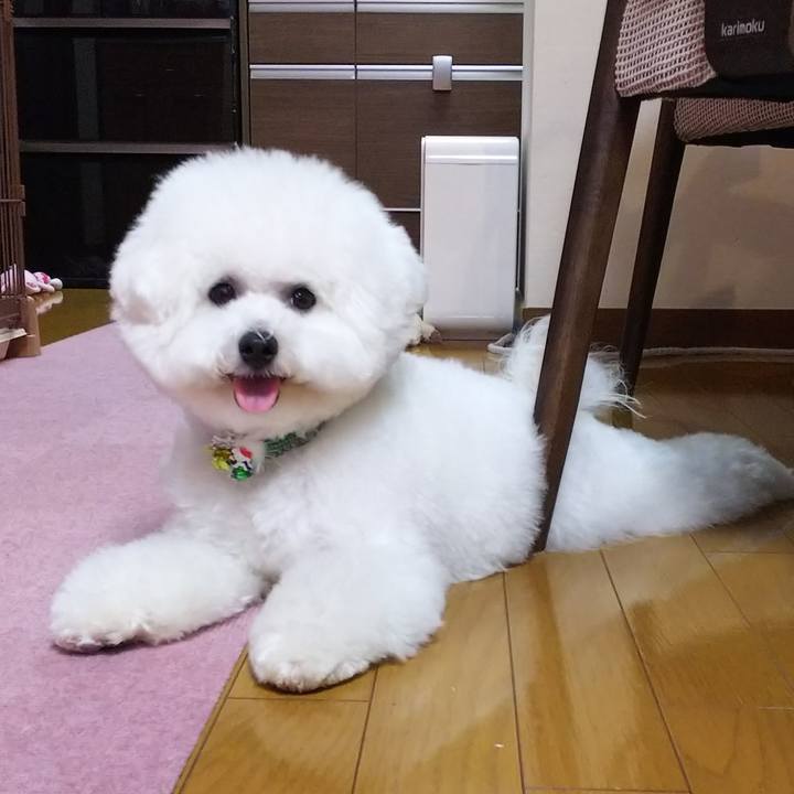 A06a18fd e3d2 4c6c 8a37 abeaf5984e27 1513080128261