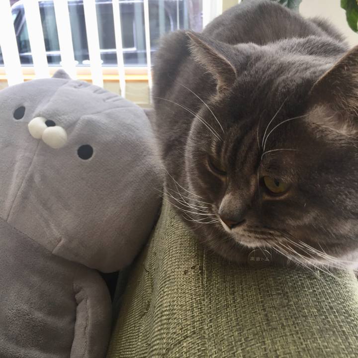 A06a9f9f a5c5 4324 a2e8 082e1c0482a1 1520635126953