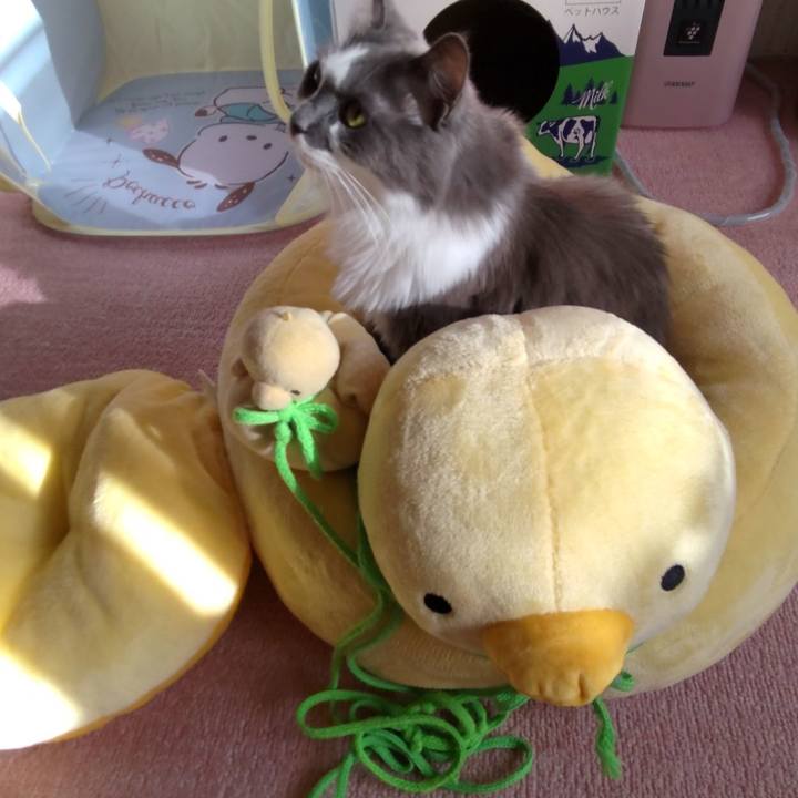 A06acbea 5b41 4bbd bc79 bb076480e875 1666604000633