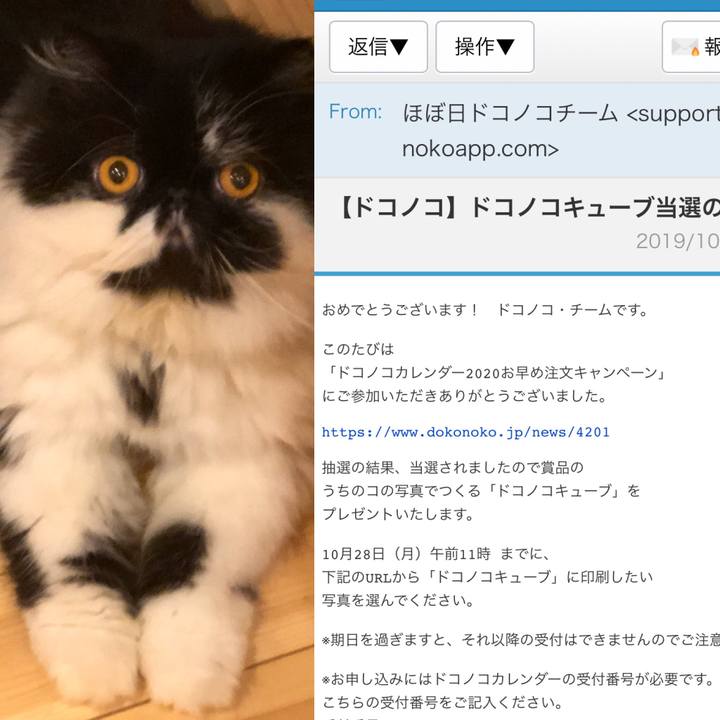 A06ae276 f196 4620 9de2 68c671c24c7a 1571997308605