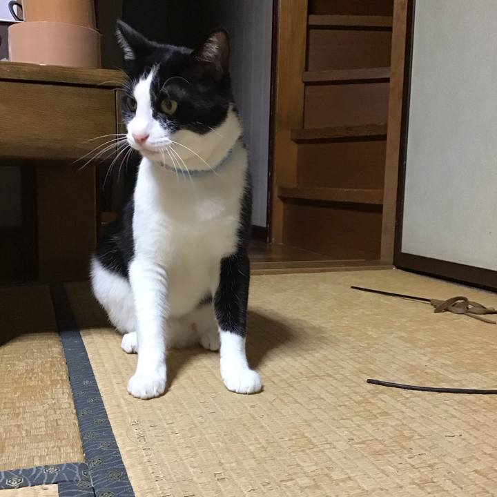 A06af359 c99e 442a 8556 2265d54166db 1684672133618