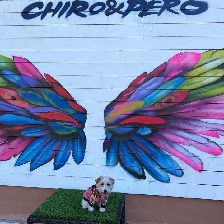 A06b35ca 07fb 4611 a9e8 7ecd55ffc1d5 1767509496858