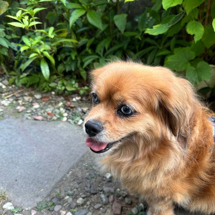 A06b45a5 7d05 4efb b5de 778ba7a3c84d 1690405700851