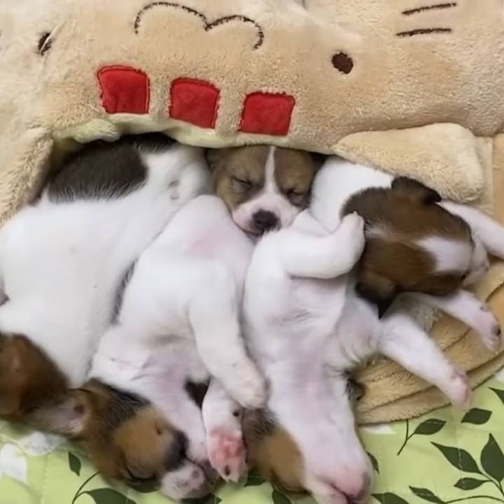 A06b595b a659 4ea9 bb14 0940d1fa8a48 1728393819855