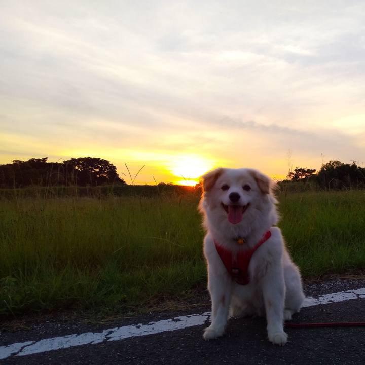 A06b69bb ee75 40d0 94ee 36908bcbeb27 1565432000845