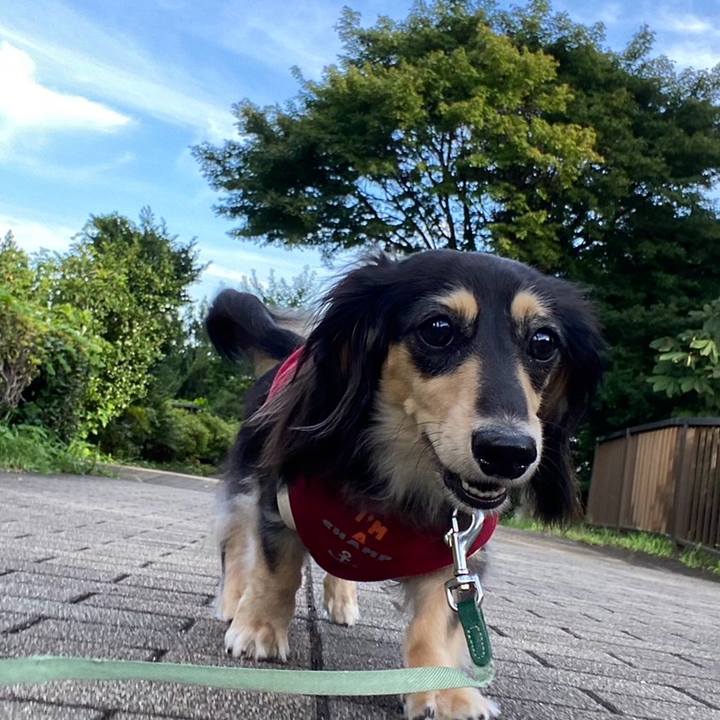 A06bbc54 0a2f 4c36 a8c3 4166a0e314b6 1721992837268