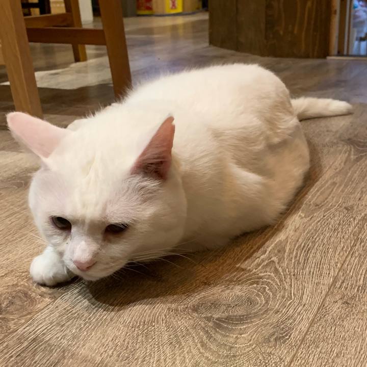 A06bdfd0 9429 4be1 8f7e 38074f41b3ac 1566394536408